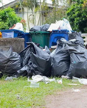 garbage